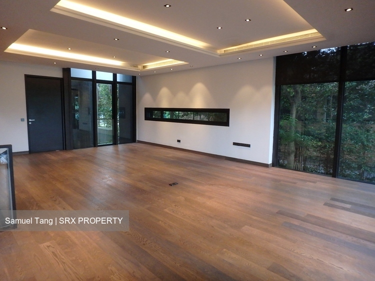 The Green Collection (D4), Terrace #174612462